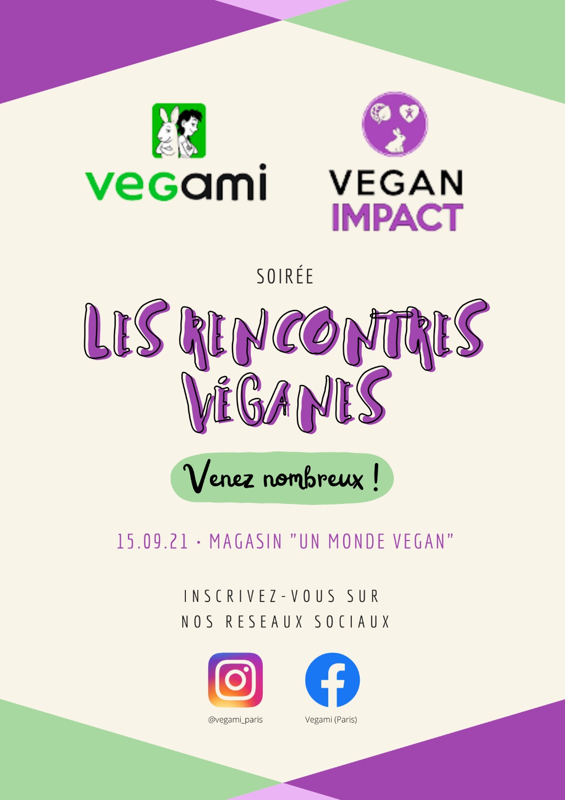 Projet Vegami 1