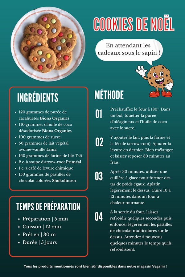 Projet Vegami 4